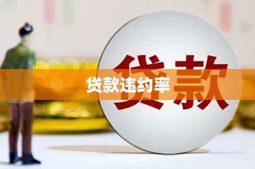 和县贷款违约率