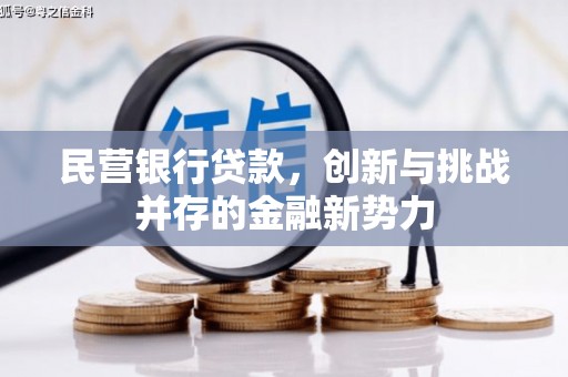 岳塘民营银行贷款，创新与挑战并存的金融新势力