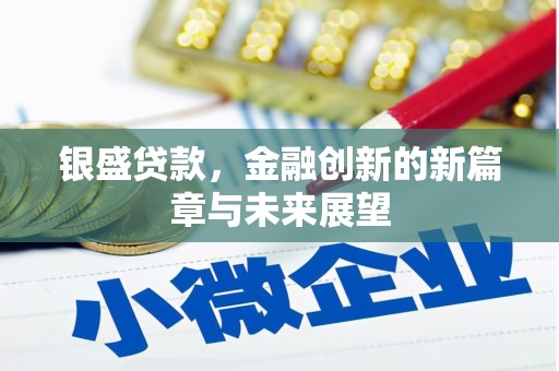 九龙城银盛贷款，金融创新的新篇章与未来展望