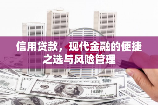 内湖信用贷款，现代金融的便捷之选与风险管理