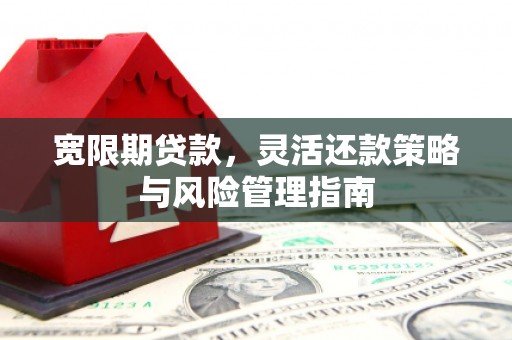 盖州宽限期贷款，灵活还款策略与风险管理指南