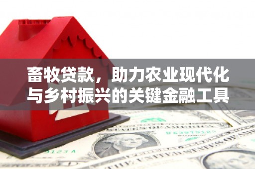 长岭畜牧贷款，助力农业现代化与乡村振兴的关键金融工具