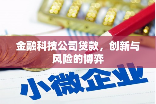 杭州金融科技公司贷款，创新与风险的博弈