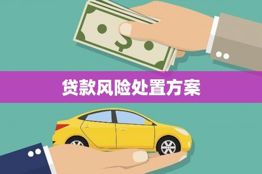 唐山贷款风险处置方案
