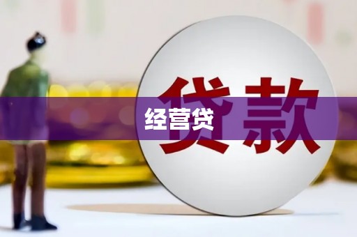 单县经营贷