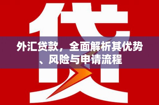 德宏外汇贷款，全面解析其优势、风险与申请流程