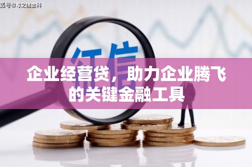 花地玛堂区企业经营贷，助力企业腾飞的关键金融工具