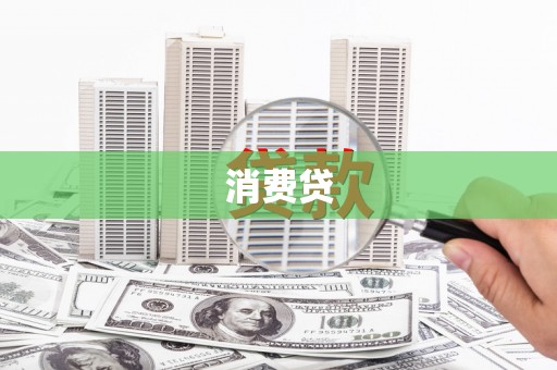 聂荣消费贷