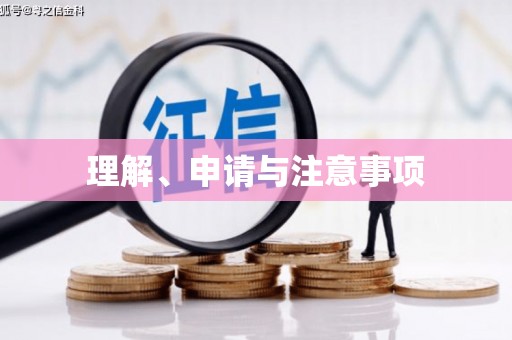 宁都理解、申请与注意事项