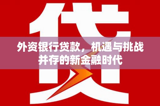 威宁外资银行贷款，机遇与挑战并存的新金融时代