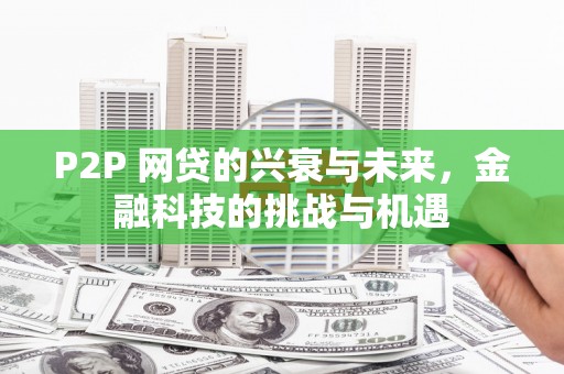 虎林P2P 网贷的兴衰与未来，金融科技的挑战与机遇