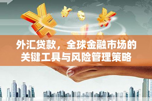 兴业外汇贷款，全球金融市场的关键工具与风险管理策略