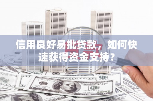 单县信用良好易批贷款，如何快速获得资金支持？