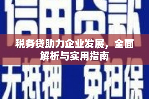 延津税务贷助力企业发展，全面解析与实用指南