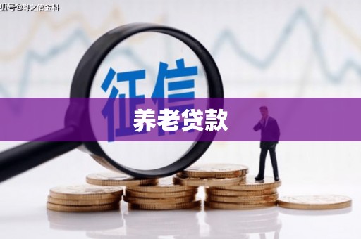 疏附养老贷款