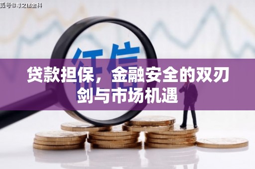 潍坊贷款担保，金融安全的双刃剑与市场机遇