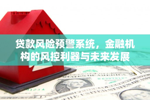 山上贷款风险预警系统，金融机构的风控利器与未来发展