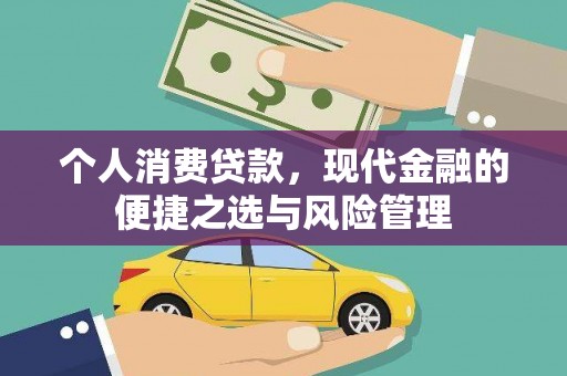 光明新区个人消费贷款，现代金融的便捷之选与风险管理