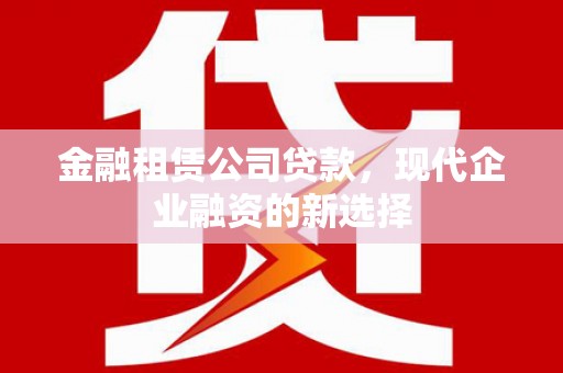 洋县金融租赁公司贷款，现代企业融资的新选择