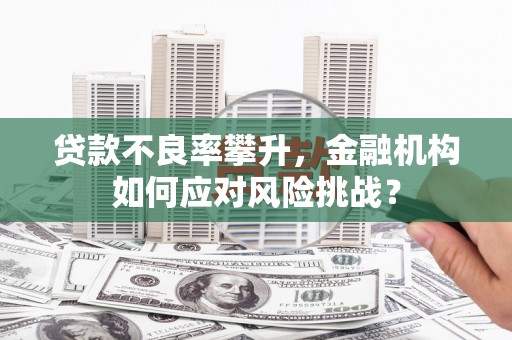 柳南贷款不良率攀升，金融机构如何应对风险挑战？