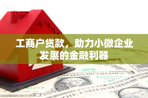 柳东工商户贷款，助力小微企业发展的金融利器