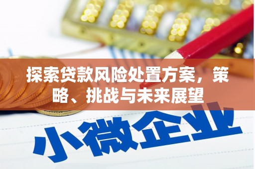 焉耆探索贷款风险处置方案，策略、挑战与未来展望
