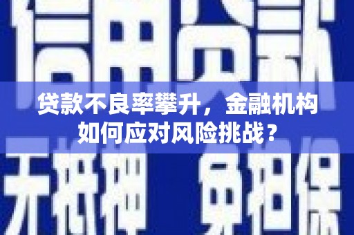 将军贷款不良率攀升，金融机构如何应对风险挑战？