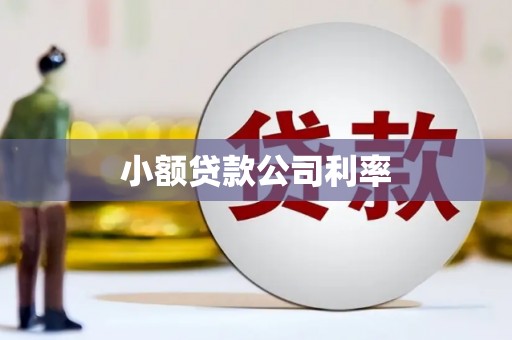镇赉小额贷款公司利率