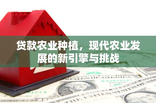 通江贷款农业种植，现代农业发展的新引擎与挑战