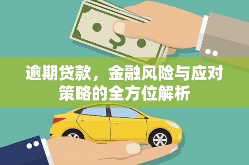 凤县逾期贷款，金融风险与应对策略的全方位解析