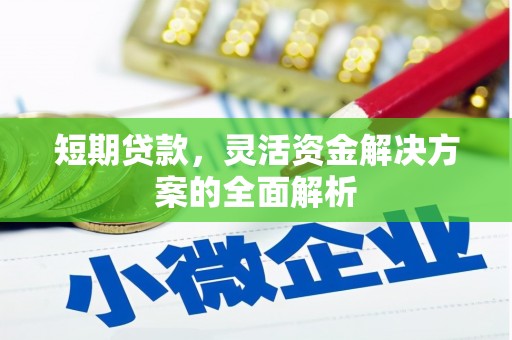 屏南短期贷款，灵活资金解决方案的全面解析