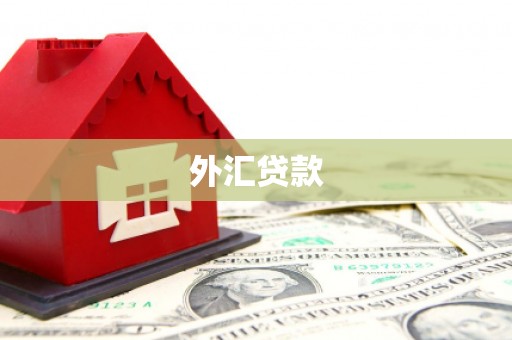 原州外汇贷款