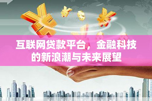 嘉禾互联网贷款平台，金融科技的新浪潮与未来展望