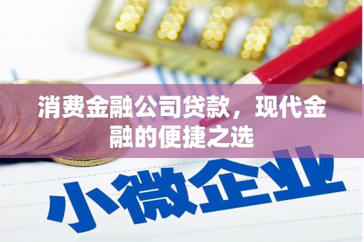民和消费金融公司贷款，现代金融的便捷之选