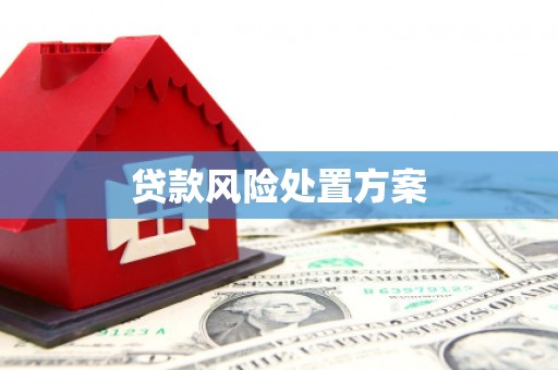郫县贷款风险处置方案
