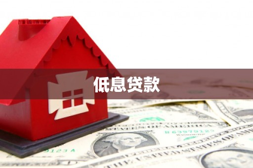 新河低息贷款