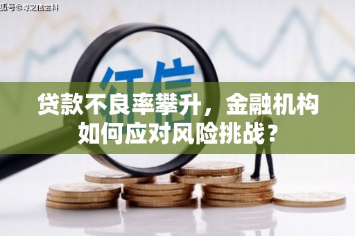 琼结贷款不良率攀升，金融机构如何应对风险挑战？