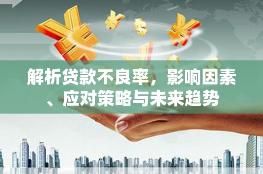 嵩县解析贷款不良率，影响因素、应对策略与未来趋势