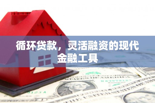 沂源循环贷款，灵活融资的现代金融工具