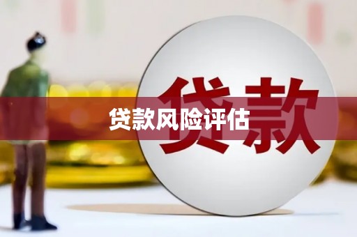 燕巢贷款风险评估