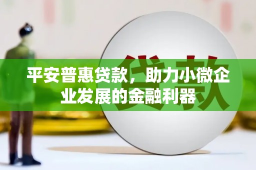 新民平安普惠贷款，助力小微企业发展的金融利器