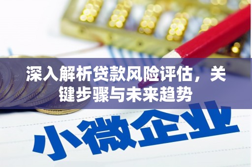 巍山深入解析贷款风险评估，关键步骤与未来趋势