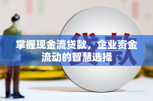 东乌旗掌握现金流贷款，企业资金流动的智慧选择