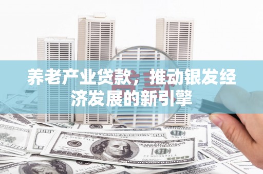汉川养老产业贷款，推动银发经济发展的新引擎