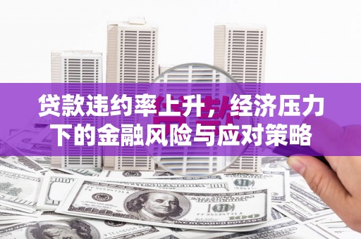 海安贷款违约率上升，经济压力下的金融风险与应对策略