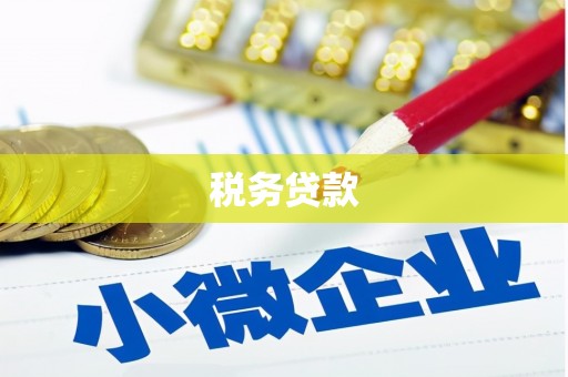 麟游税务贷款
