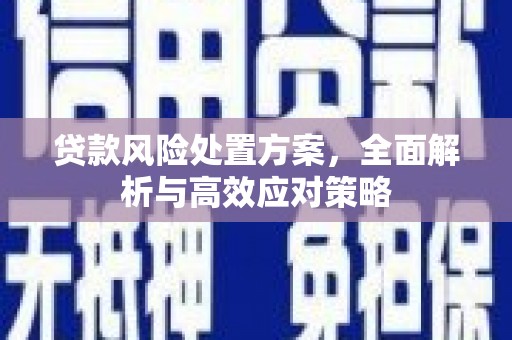东昌府贷款风险处置方案，全面解析与高效应对策略
