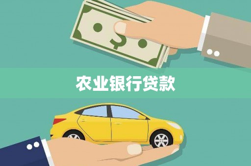 孝南农业银行贷款