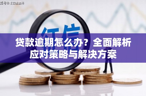 溪口贷款逾期怎么办？全面解析应对策略与解决方案