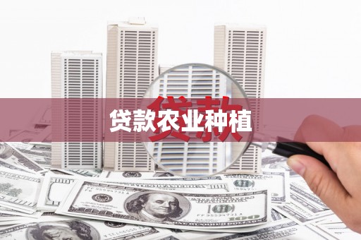 天峨贷款农业种植